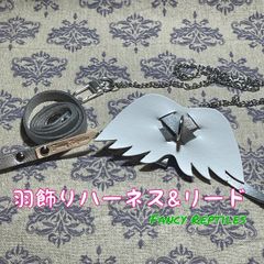 フトアゴヒゲトカゲ用羽飾りハーネス&リード エンジェル