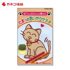 ネコ草 猫草 種 簡単 すぐ育つ 無農薬 薬剤処理なし 安全 エンバク たまへの思いやりサラダ 犬 カネコ種苗