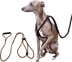 Item thumbnail for item 15ec6043-41d5-4f6b-b979-970419480b44