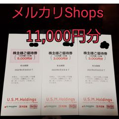 USMH　株主優待　11,000円分