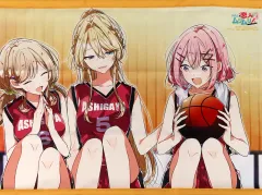 わたなれ　ふぁぶぬい　甘織れな子　瀬名紫陽花　琴紗月　各1個　3個セット わたなれ】れな子、真唯、紫陽花、紗月、香穂のふぁぶぬいが登場