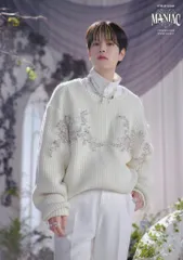 Stray Kids Seungmin 2023 MANIAC ENCORE in JAPAN トレーディングカード 1/8