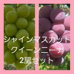 Rimam様専用シャインマスカット&クイーンニーナ4房2kg　9月3日収穫発送