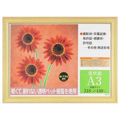 イワタ 額縁 賞状額 木地 樹脂製フレーム PET A3 PSMSP-28-SP-PET-SP-A3 0