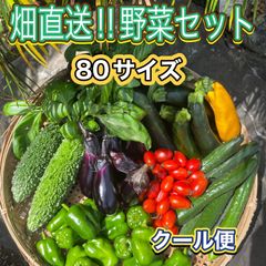 畑直送‼︎ 味自慢野菜セット6〜8種類　農薬不使用　80サイズクール便
