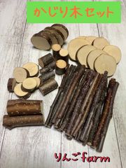 かじり木　りんごの枝　長さ10cm 太さ7〜8mm 1000本　1箱限定 Leaf Corp かじり木 国産 りんごの木 中枝 7本入 小動物