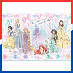 【特価商品】女の子 25 プリンセス ディズニー 60×90cm VS1 Sサイズ 遠足 レジャーシート 子供用 スケーター(Skater)