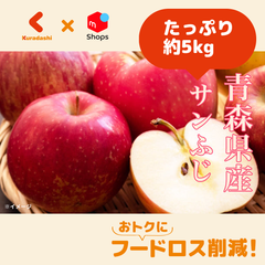 青森県産「訳あり サンふじりんご」約5kg（14～28玉）【賞味期限内かつ、ご注文日から7日（平日）を目処に発送いたします。】