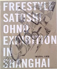 嵐 FREESTYLE in 上海 2015 楽在其中 大野智 パンフレット