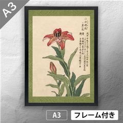 幸野楳嶺 「千種の花 ナデシコ」 ボタニカルアート 日本画