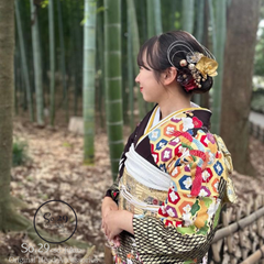 クリアフラワーと胡蝶蘭の髪飾り｜結婚式 成人式 卒業式 前撮り 白無垢 色打掛 和装 赤 金 №200