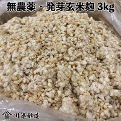 無農薬 発芽 玄米麹（乾燥）3kg大袋 九州産 玄米 米