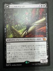 星の勇者、クラウド 星の継承者、セフィロス 日本語 拡張アート psa10 星の