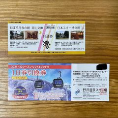 野沢温泉スキー場 1日券引換券 2021-2022 +α