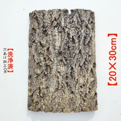 ポルトガル産コルク樹皮PL-0926-152L153Lの2点セット ポルトガル産