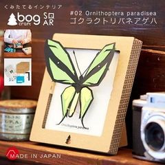 【新品】SQAR ゴクラクトリバネアゲハ bog craft ボグクラフト 組み立てるインテリア 工作 飾り 標本 ペーパークラフト スクウェア