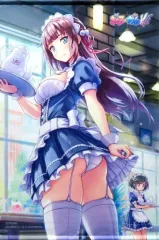 【中古】タペストリー 神園しのぶ&神園真夜 描き下ろしB2タペストリー 「Switchソフト ぎゃる☆がん だぶるぴーす」 トレーダー購入特典