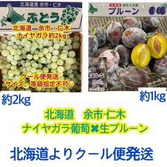 2022年北海道最強セット野菜【余市仁木ナイヤガラ約2kg✖︎プルーン約1kg】