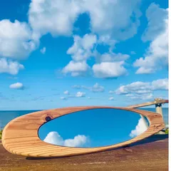 77576616_4