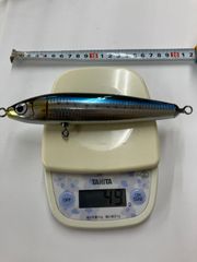 カーペンター パンドラ グルクンカラー - メルカリ