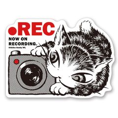 【リクエスト/２品番セット】 ステッカー ＲＥＣ＃４ 941852 ステッカーセット 猫がいます 941851 わちふぃーるど 猫のダヤン 自動車用ステッカー デカール シール