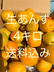 ◉「信月」4キロ 生あんず 杏 ジャム シロップ漬け 加工用 送料込み