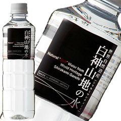 白神山美水館 世界自然遺産 白神山地の水 黒ラベル 500ml PET 24本入 2ケース
