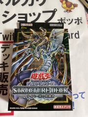 サイバー流の後継者　新品