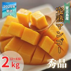 【予約商品】宮古島産　完熟マンゴー　秀品　(4~7玉)　2キロ（7月頃発送）