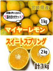 【2種セット】マイヤーレモン1㎏・スイートスプリング2㎏　計3㎏/レモン　みかん