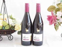 チリワイン2本セット(サンタ ヘレナ アルパカ シラー フルボディ赤ウィン) 750ml×2本