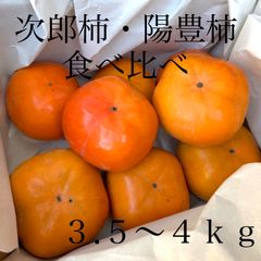 陽豊柿・次郎柿　食べ比べセット　３.５〜４ｋｇ