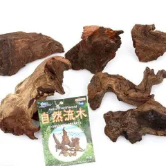 2026年最新】ホシクサの人気アイテム - メルカリ