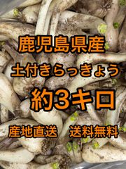 鹿児島県産 土付きらっきょう 約3キロ - メルカリ