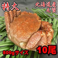 【特大】北海道産　毛蟹　約800gサイズ  10尾セット　冷凍　ボイル　毛がに