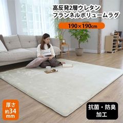 定価2.9万 FLYMEe掲載 パール 190×240 洗えるラグ#117039 - メルカリ