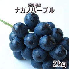 塚田さんちのナガノパープル２ｋｇ  ４〜５房入（１房約４００〜５００ｇ前後）クール便【配送地域限定】