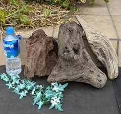 流木③ 最終価格!!CE8ロックガーデン向き【中型流木】3本組洗浄済 沈水しま