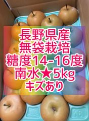 長野県産★南水梨★無袋栽培★5kg★キズあり