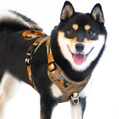 新品 S) (迷彩オレンジ 柴犬 中型犬 しつけ 散歩 咳き込み防止 通気性 抜けない 3M夜間反射 サイズ調整可 負担が少ない 犬用胴輪 ソフト 簡単着脱 「首が開けます」 引っ張り防止 超軽量 小型犬 ハーネス 犬 HOUSE JC