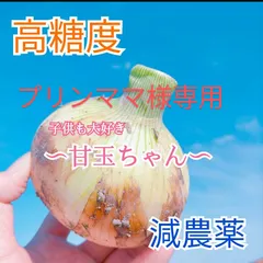プリンママ様専用