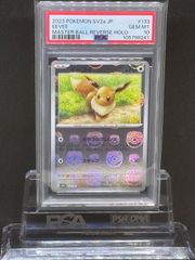 PSA10（ブイズ）