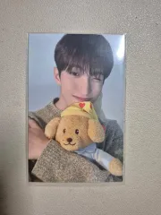 2025年最新】アーティストメイド seventeen ドギョムの人気