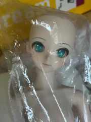 ドルフィンドリーム 初音ミク NT 開封 フルセット