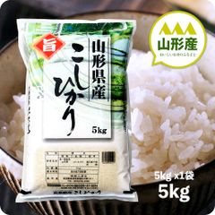 米 山形産コシヒカリ5kg お米 令和6年産 白米 送料無料（沖縄のぞく）