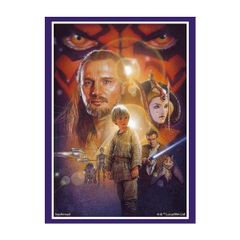스타 워즈 부시로드 슬리브 컬렉션 트레카 하이 그레이드 Vol.3485 STAR WARS 팬텀 메너스 스타 워즈