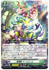 ヴァンガード SP PR まとめ売り ヴァンガード初期まとめ売りSPあり
