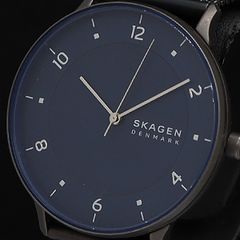 極美品】SKAGEN スカーゲン ダイバーズウォッチ FISK SKW6666 - メルカリ