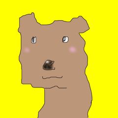 shop-thumbnail