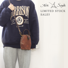 【50％OFF】Ain Soph (アインソフ)縦型ハンドル付きショルダーバッグ（小）ASE1739-HP